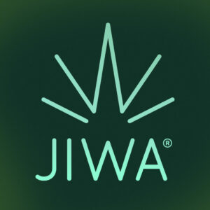 Jiwa / Jware Cones